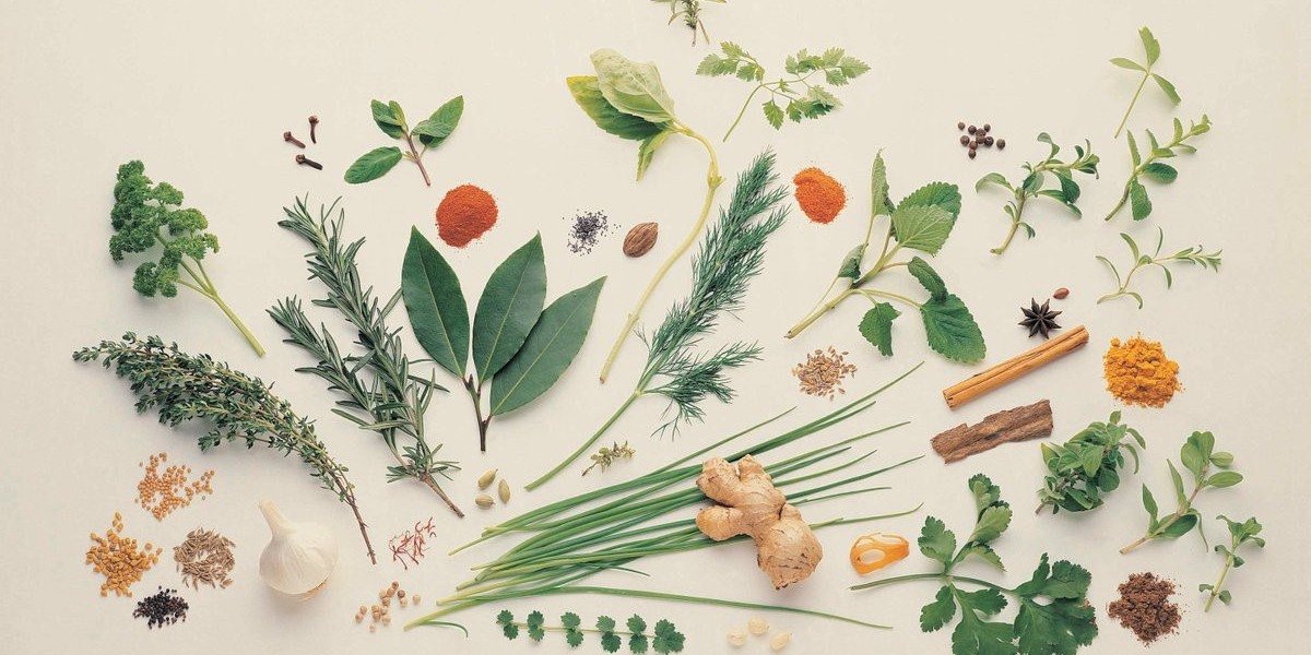 Seeking Holistic Health? Medicinal Plant Extracts Market Provides Effective, Plant-Based Alternatives