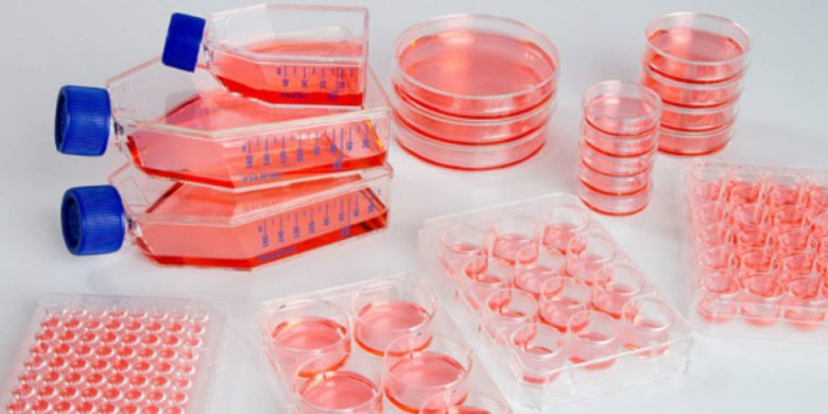 Global Primary Cell Culture Market Is Driven By Rising Demand For Regenerative Medicine And Disease Modeling