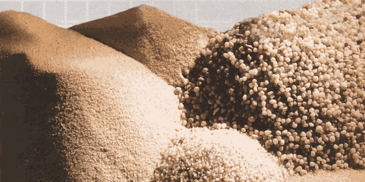 Navigating the Washed Silica Sand Market: Trends, Analysis, and Geographical Insights