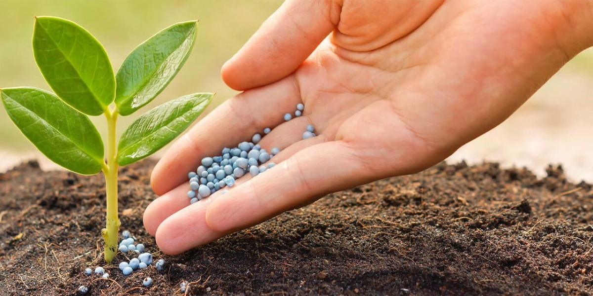 Navigating Opportunities and Challenges in the Chelated–Iron Agricultural Micronutrient Market: Trends, Porter Analysis,
