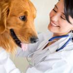 Animal Hospital Profile Picture