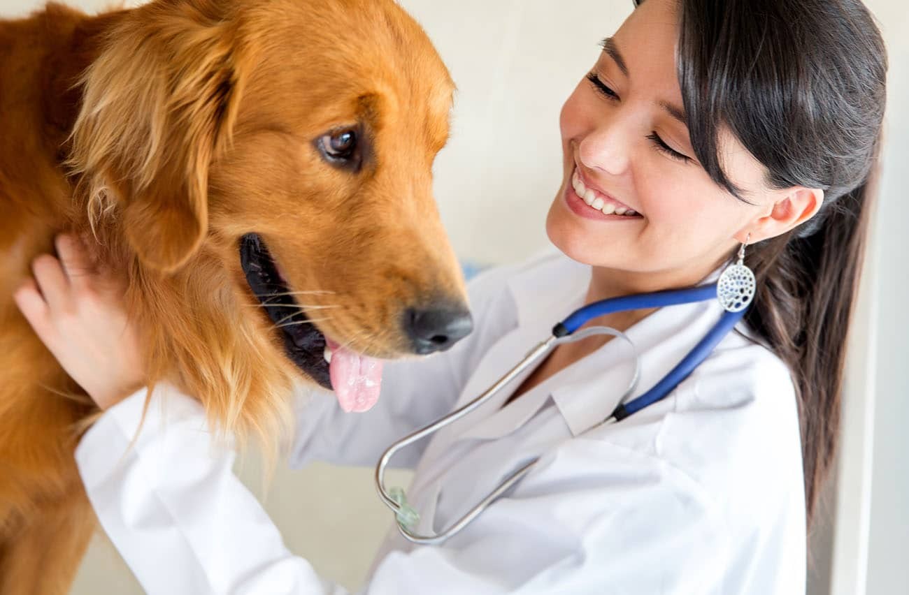 Animal Hospital Profile Picture