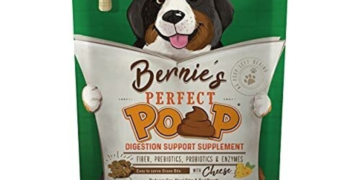 Perfect Poop for Dogs: How to Support Your Canine Companion's Digestive Health