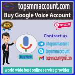 Google Voice Profile Picture