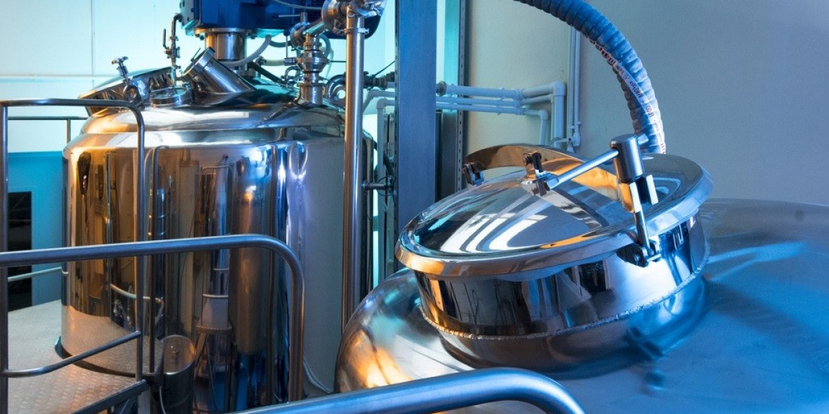 Fermenter Market: Navigating Growth Trends and Challenges
