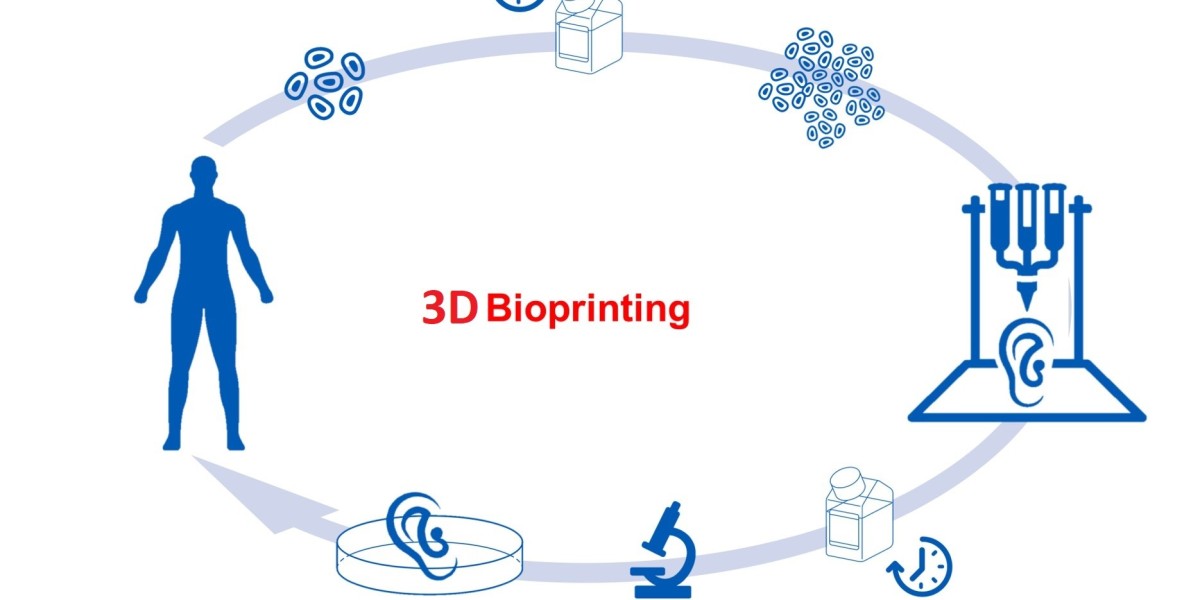 Building Bodies, One Layer at a Time: 3D Bioprinting for Tissue Regeneration