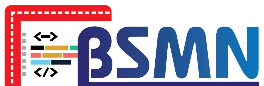 Bsmn consultancy Cover Image