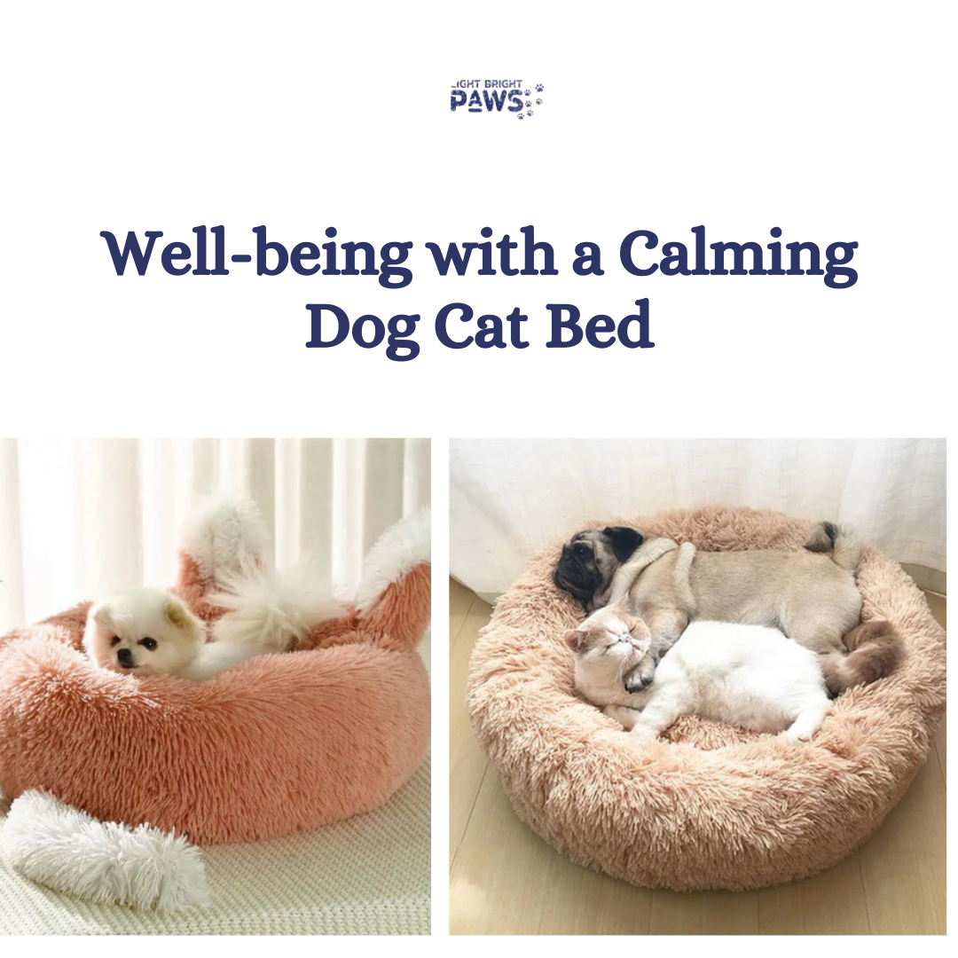 Enhance Your Pet's Well-Being With a Calming Dog Cat Bed | TechPlanet