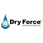 Dry Force Profile Picture