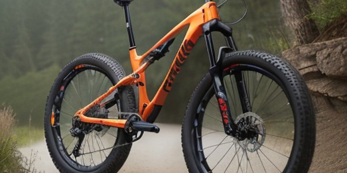 carbon fibre mountain bike