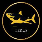 Terus Technology profile picture