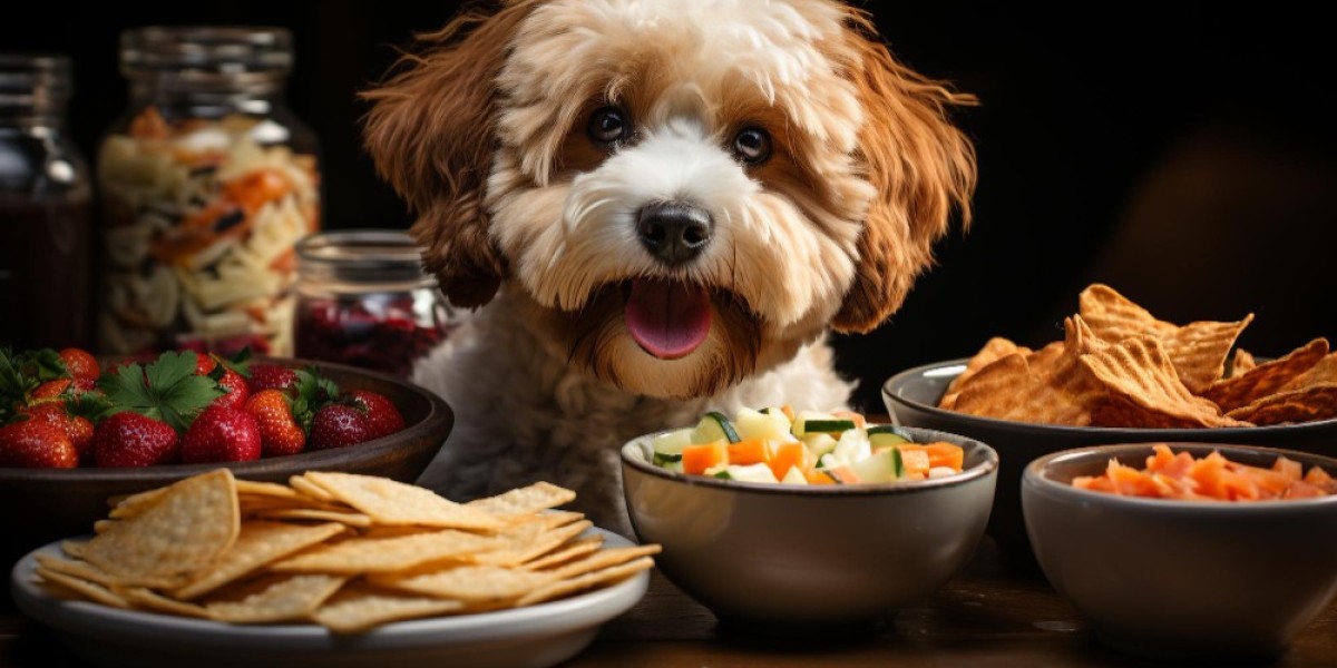 Unlocking the Secrets: What should a Bernedoodle puppy eat?