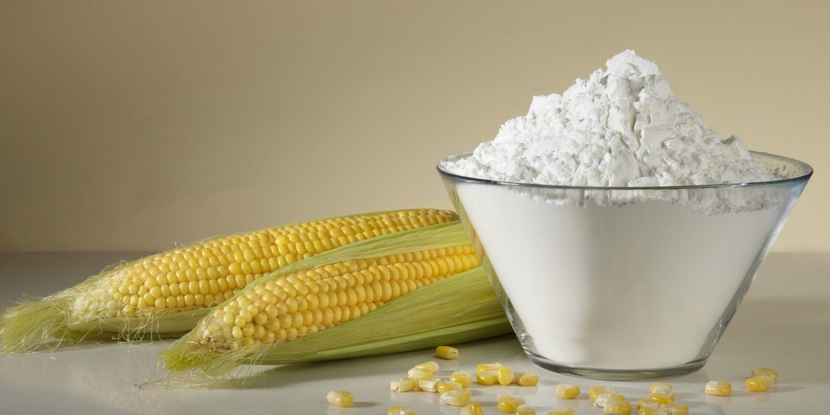Exploring the World of Starch Derivatives: Applications and Benefits