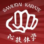 Samurai Karate Croydon Best Karate Classes in Croydon Profile Picture