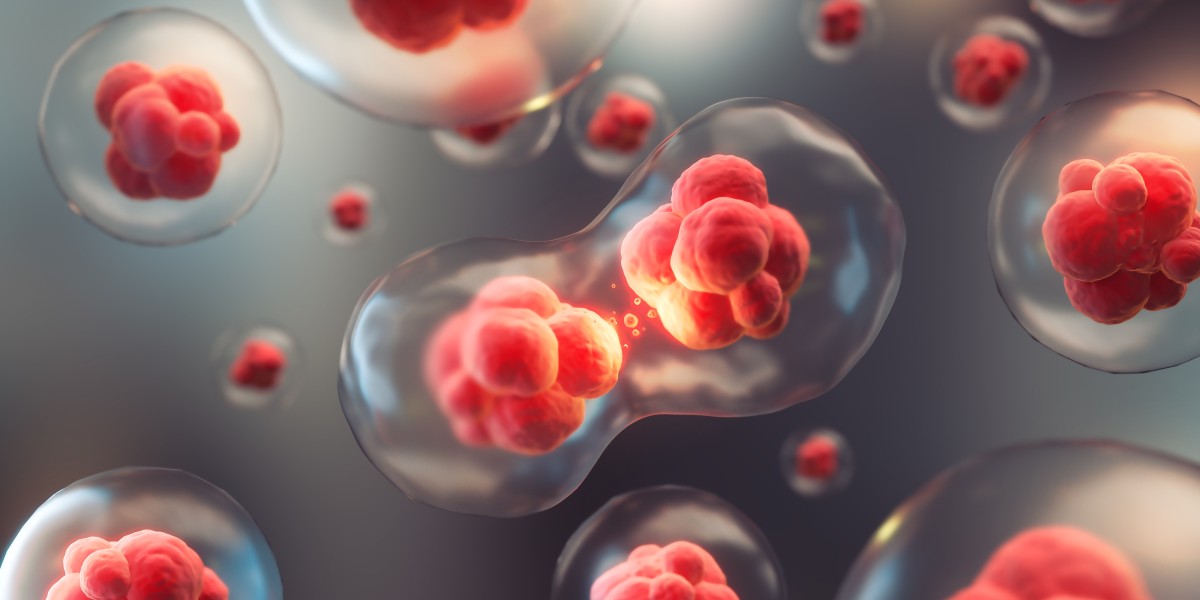 Induced Pluripotent Stem Cells: Revolutionizing Regenerative Medicine Globally