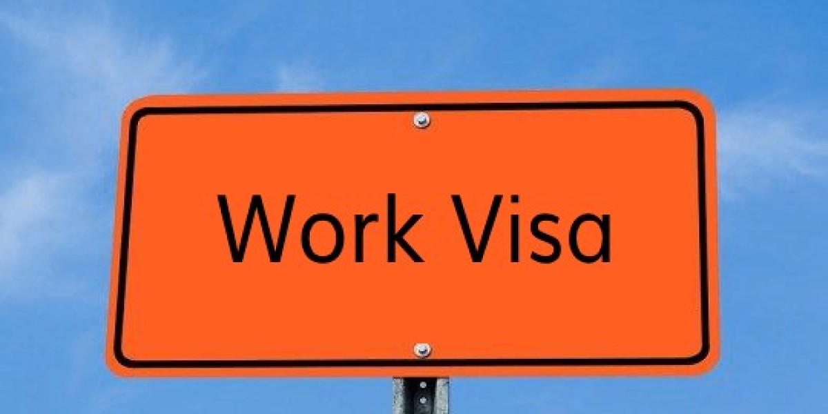 Unlocking Opportunities: A Comprehensive Guide to Work Visas in the Immigration Industry