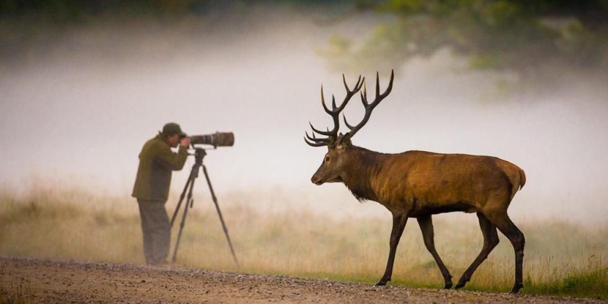 Exploring the Thriving Wildlife Hunting Tourism Scene