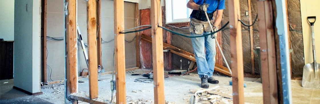 Lone star remodeling and construction Cover Image
