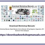 Download Workshop Manuals Profile Picture