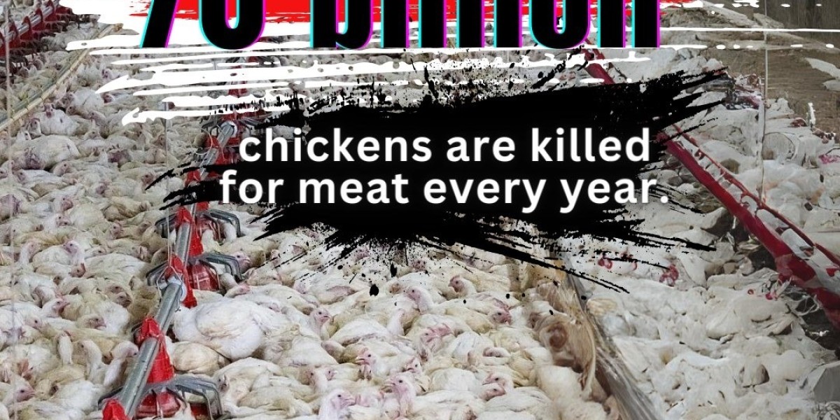 Exposing the Harsh Reality of Factory Farm Animal Cruelty