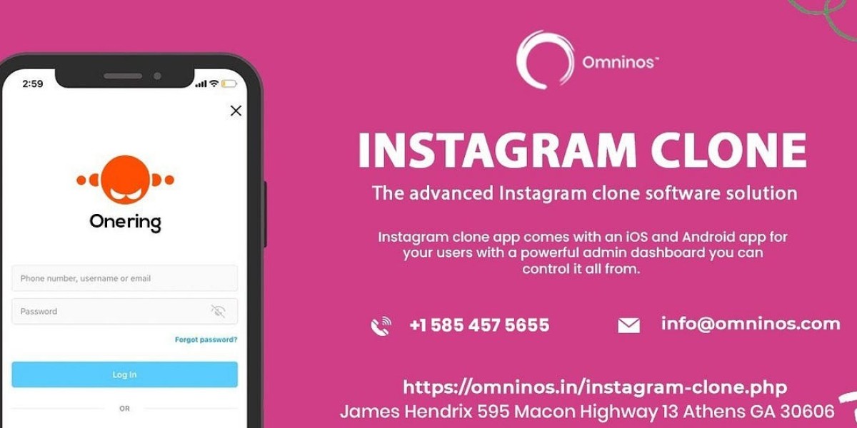 Building a Successful Instagram Clone: Key Features and Tips.