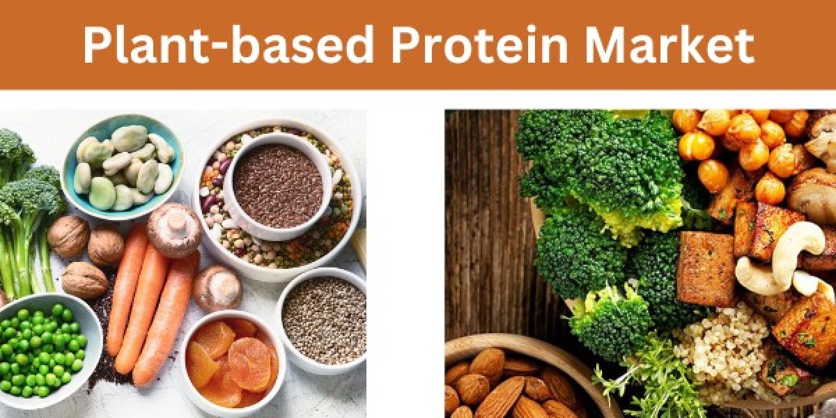 Plant-based Protein Market Analysis, Growth Factors and Competitive Strategies by Forecast 2033
