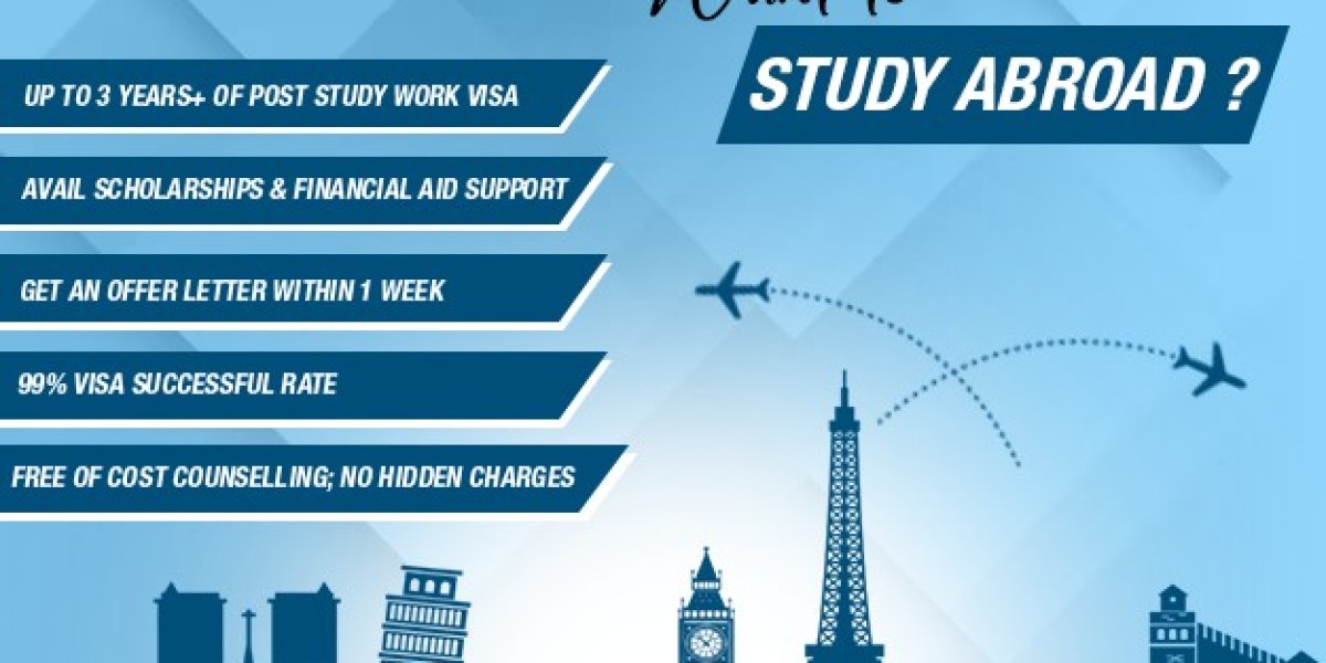 Study Abroad Consultants in Delhi: Transglobal Overseas