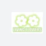 livingflowers Profile Picture