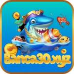 banca30 xyz Profile Picture