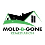 Mold B Gone Profile Picture