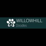 Willow Hill Doodles Profile Picture