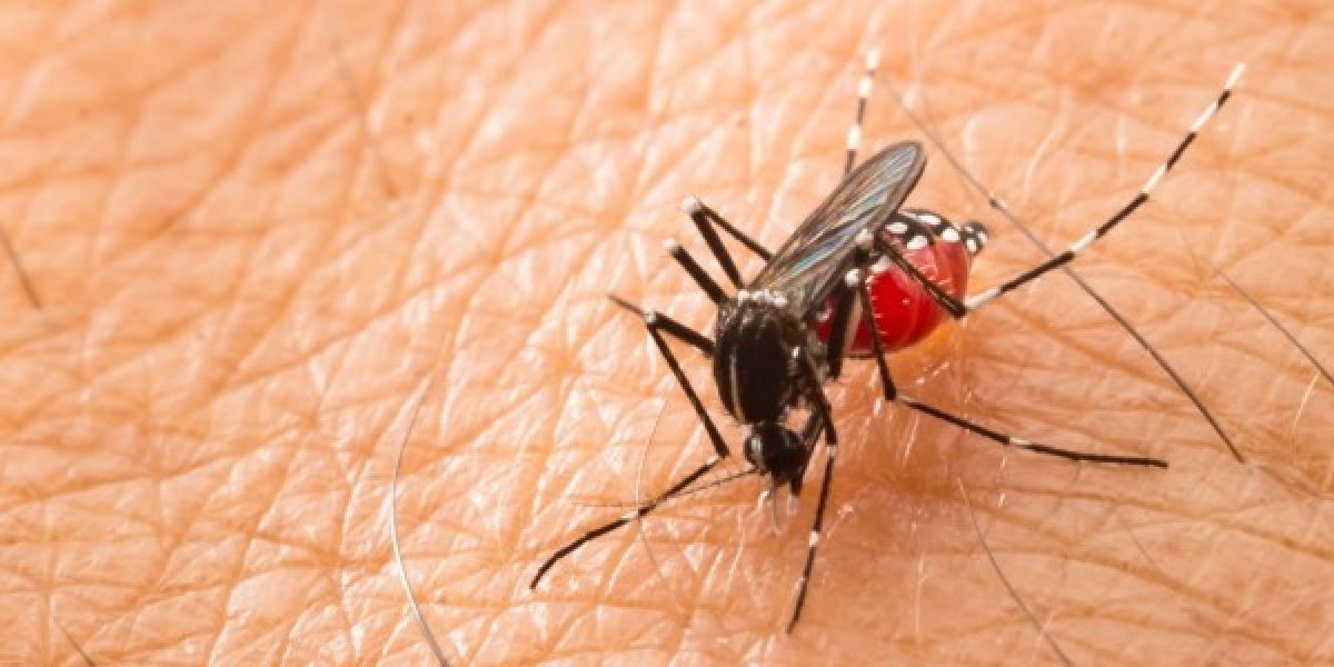 Mosquito Borne Disease Market is Anticipated to Witness High Growth Owing to Rising Prevalence of Dengue