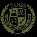 sdglobal school Profile Picture