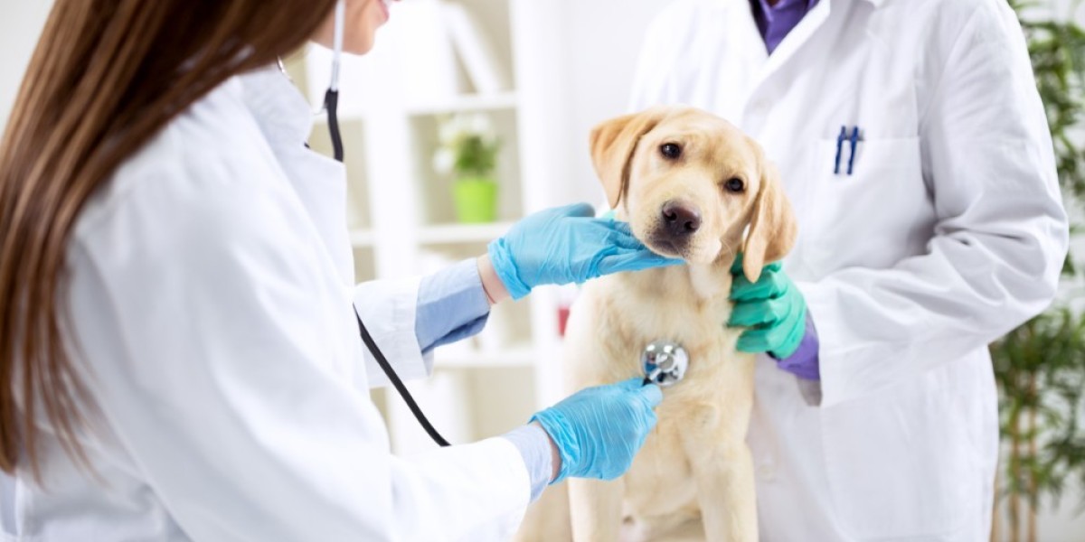 Veterinary Services Market is Anticipated to Witness High Growth Owing to Rising Zoonotic Diseases