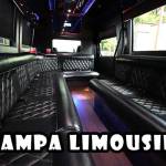 Tampa Limousine Profile Picture