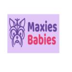 Maxies Babies Profile Picture