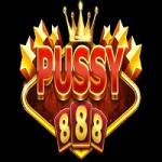 Pusy 888 Profile Picture