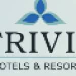 trivik hotels Profile Picture