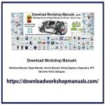 Download Workshop Manuals Profile Picture