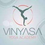 vinyasayogaacademy Profile Picture