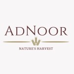 Adnoor Inc Profile Picture