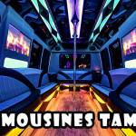 Limousines Tampa Profile Picture