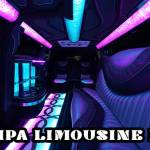 Tampa Limousine Bus Profile Picture