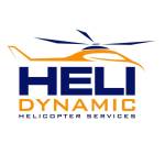 HeliDynamic Profile Picture