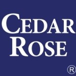 Cedar Rose profile picture