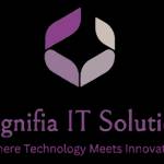 magnifia solutions Profile Picture