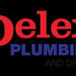 Delex Plumbing and Drains profile picture