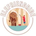 Elefriendride Jaipur profile picture