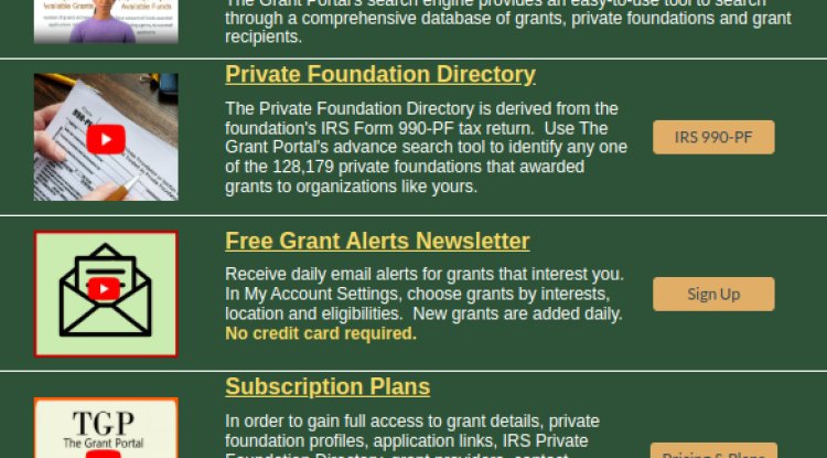 The Grant Game: Winning Strategies for Individual Applicants - New York