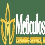 Meticulosity Cleaning Profile Picture